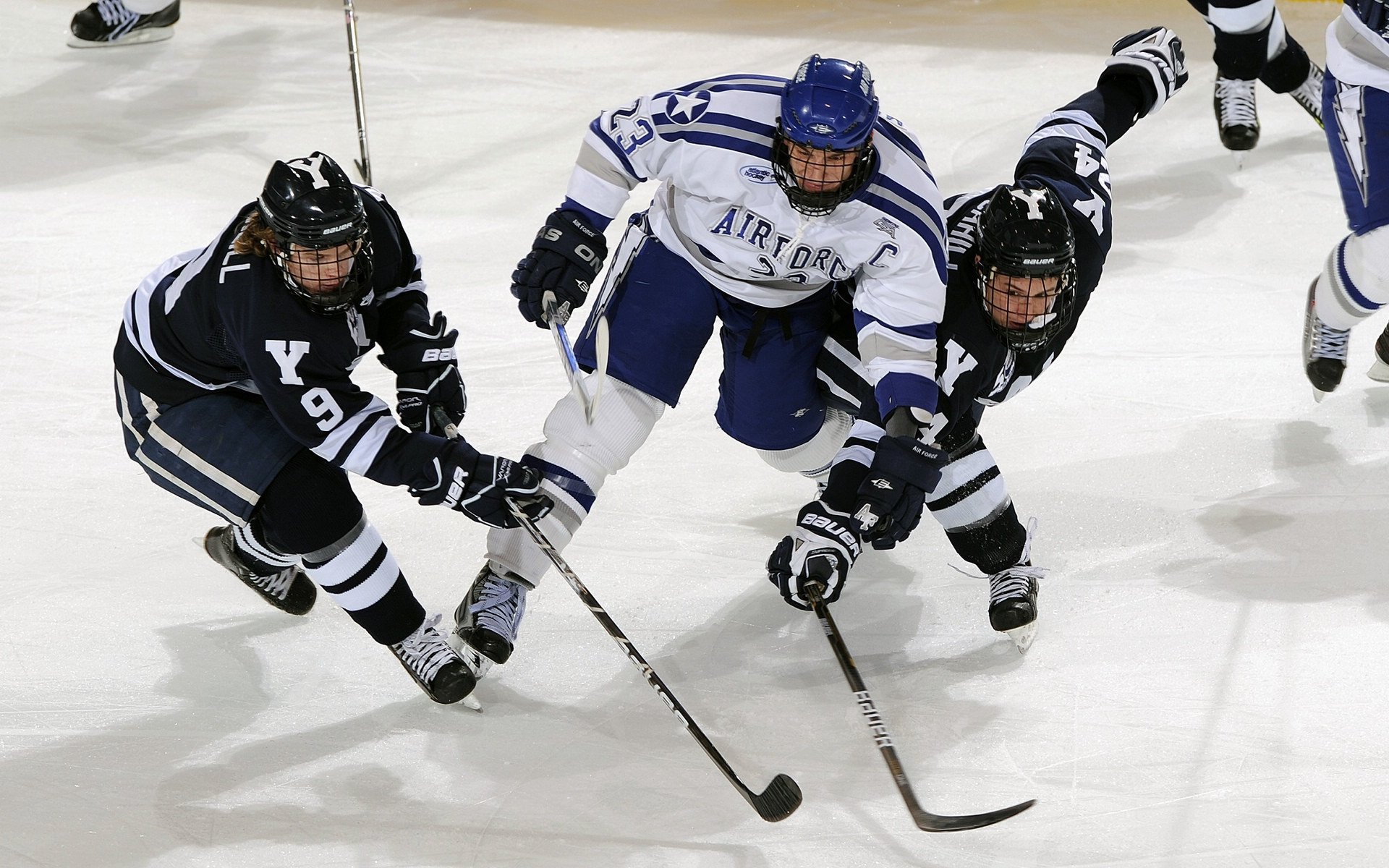 Genshin Impact竞技赛创新内容公布，粉丝期待，genskin impact