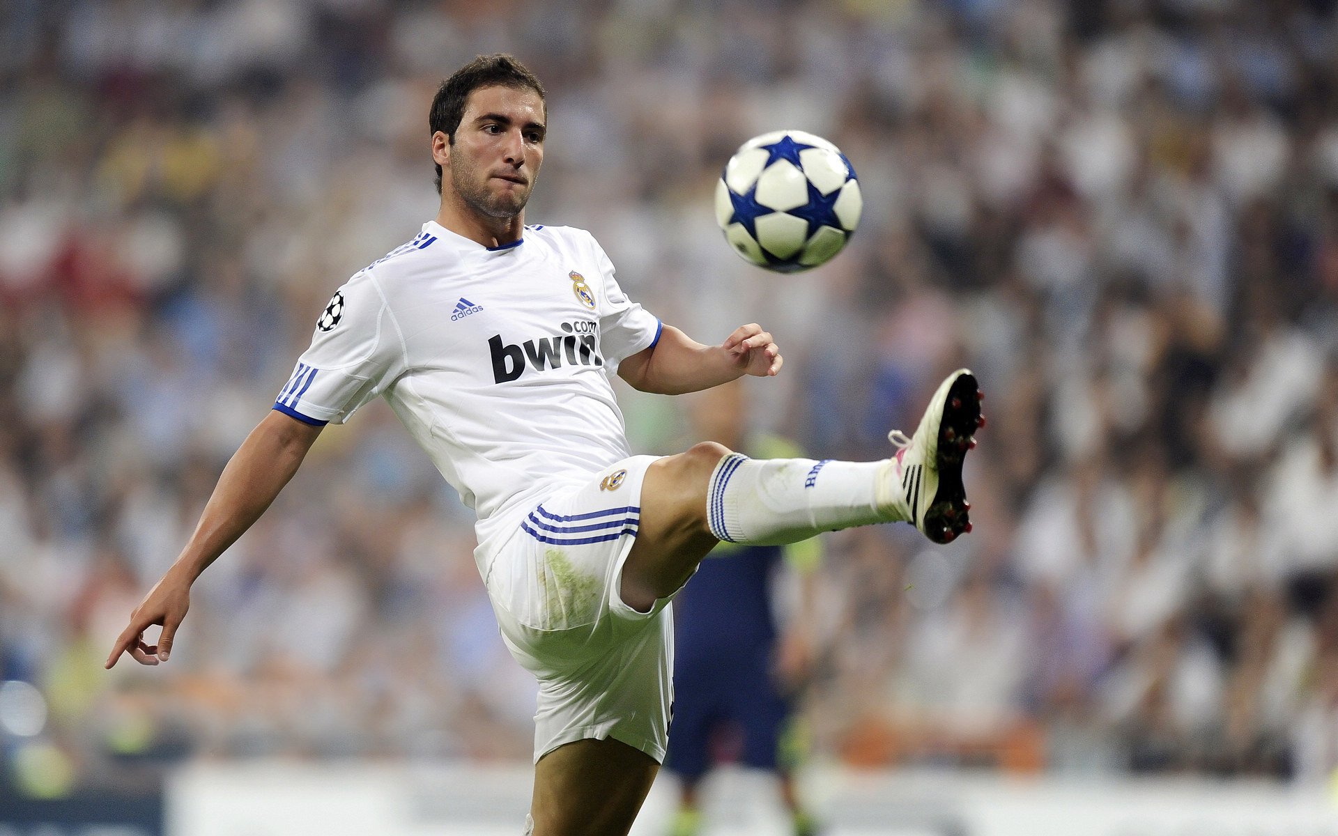 关键比赛前夜球队集体观影放松心情增强队内凝聚力，12支球队观看比赛锦标赛的热度