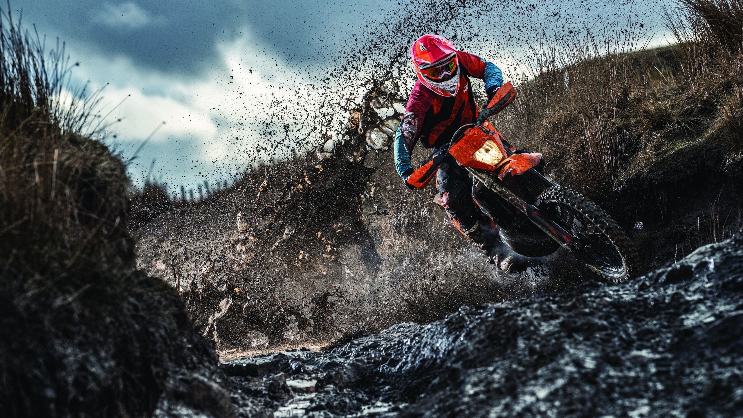 威尔士橄榄球赛事转播吸引观众，市场份额逐年攀升，威尔士 球队